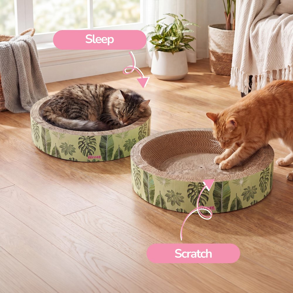 Daisy Modern Cardboard Bowl Cat Scratcher with Catnip, Mint/Green (Set of 2)