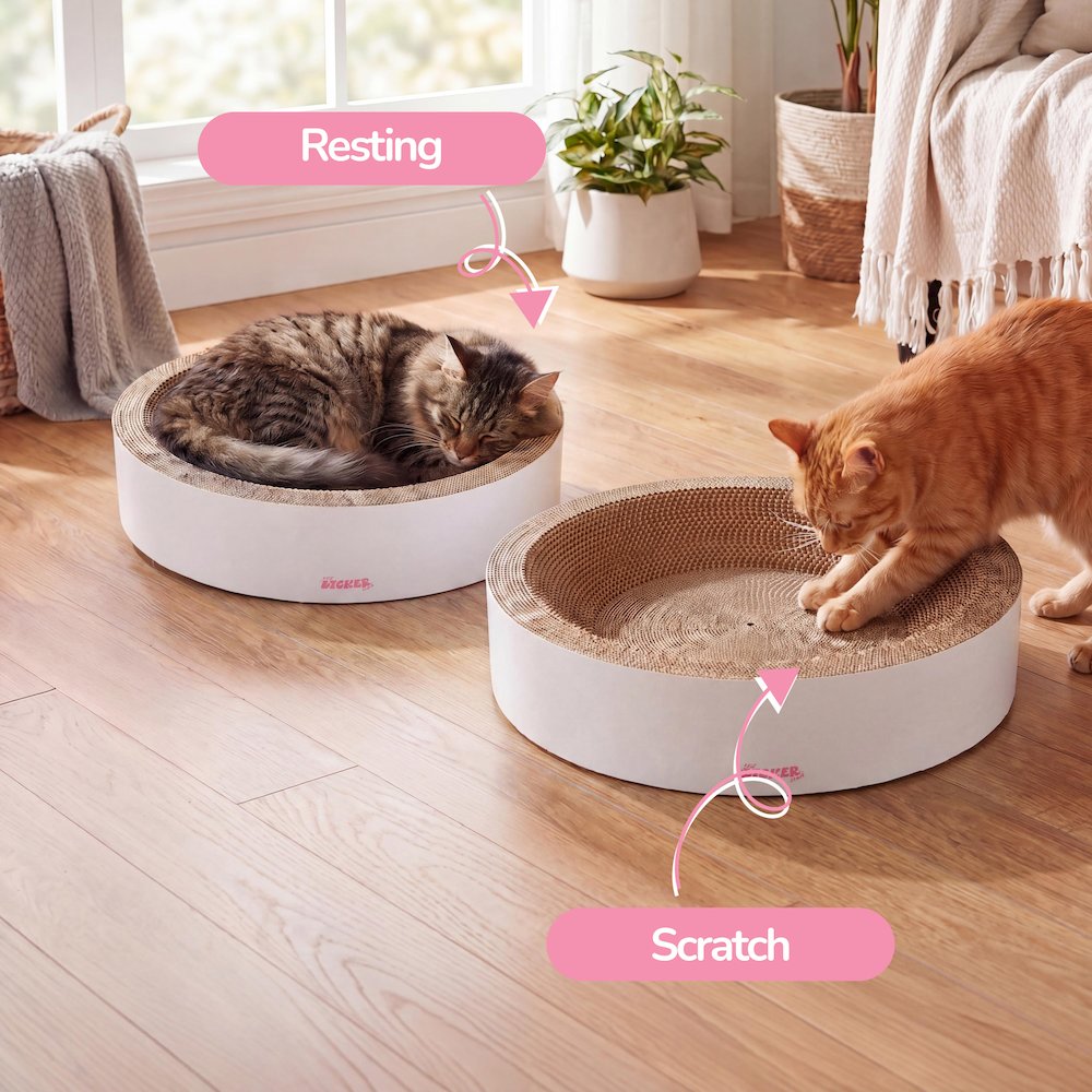 Daisy Modern Cardboard Bowl Cat Scratcher with Catnip, White (Set of 2)
