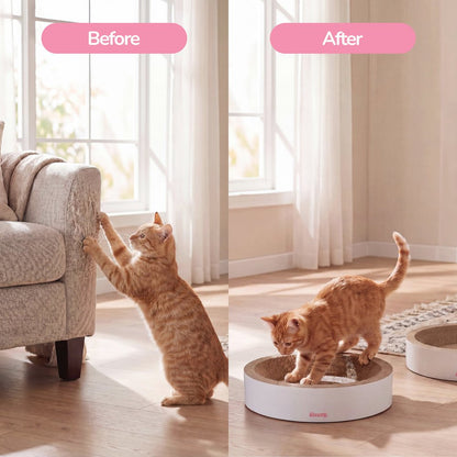 Daisy Modern Cardboard Bowl Cat Scratcher with Catnip, White (Set of 2)