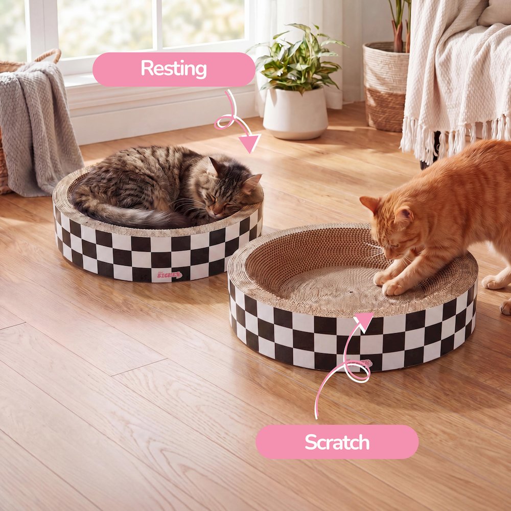 Daisy Modern Cardboard Bowl Cat Scratcher with Catnip, White/Black (Set of 2)