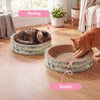 Daisy Modern Cardboard Bowl Cat Scratcher with Catnip, Green (Set of 2)