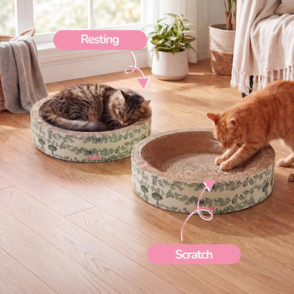 Daisy Modern Cardboard Bowl Cat Scratcher with Catnip, Green (Set of 2)