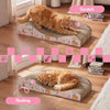 Kokomo Coastal Cardboard Lounge Bed Cat Scratcher with Catnip, Light Pink/Multi
