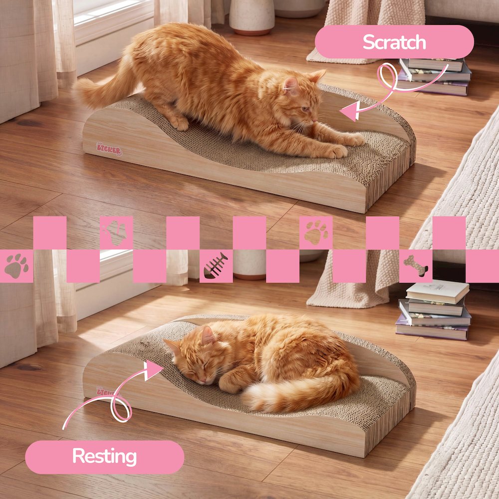 Kokomo Coastal Cardboard Lounge Bed Cat Scratcher with Catnip, Oak Wood Finish