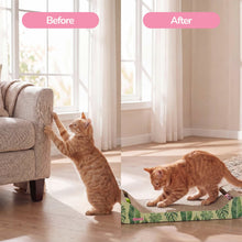Rini Lounge Bed Cat Scratcher with Bell Toys & Catnip, Mint/Green (Set of 2)
