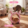 Nyan Modern Cardboard Tunnel Cat Scratcher with Catnip, Pink/Red