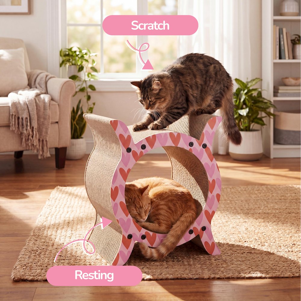 Nyan Modern Cardboard Tunnel Cat Scratcher with Catnip, Pink/Red