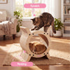 Nyan Modern Cardboard Tunnel Cat Scratcher with Catnip, Oak Wood Finish