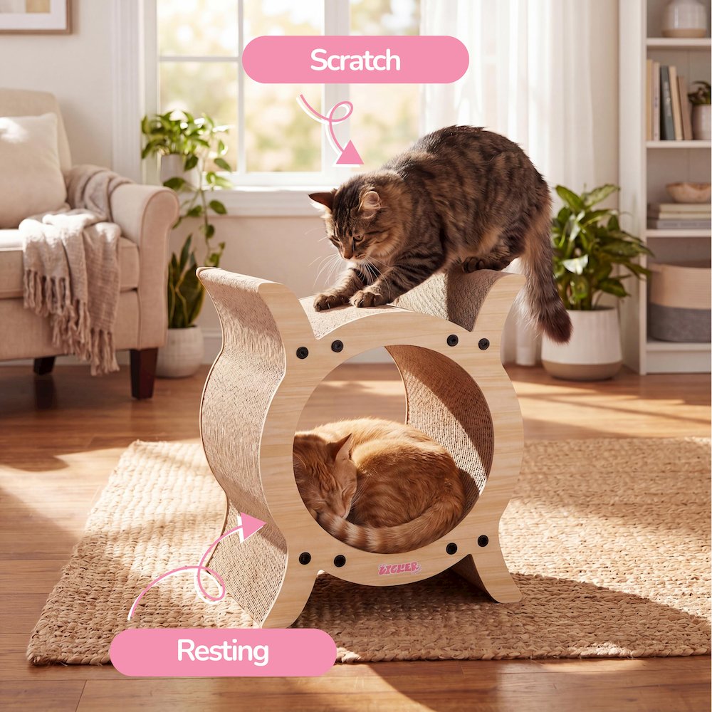 Nyan Modern Cardboard Tunnel Cat Scratcher with Catnip, Oak Wood Finish