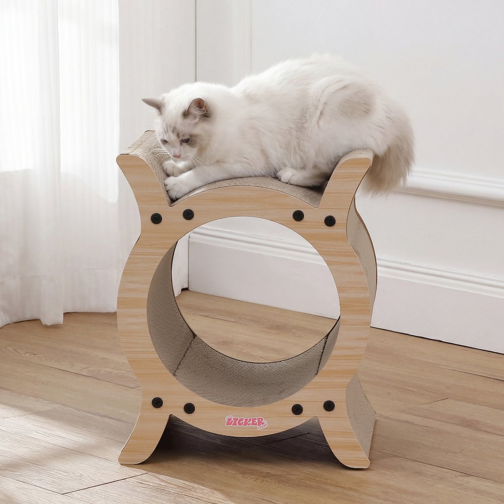 Nyan Modern Cardboard Tunnel Cat Scratcher with Catnip, Oak Wood Finish