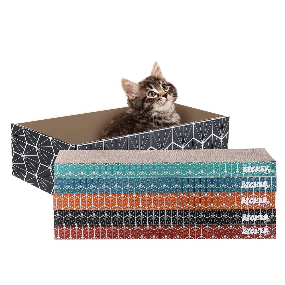 Naomi Modern Cardboard Reversible Cat Scratcher Pad In Box With Catnip