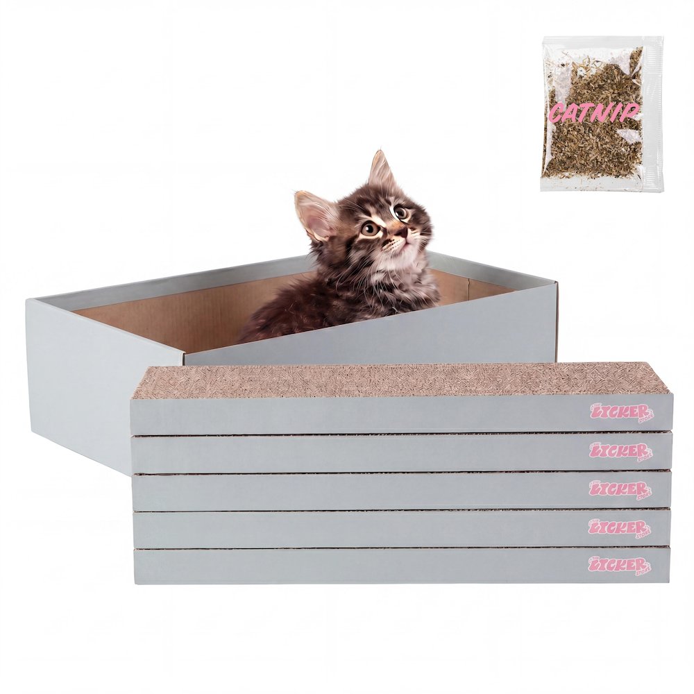Naomi Cardboard Reversible Cat Scratcher Pad in Box with Catnip, Gray (5-Pack)