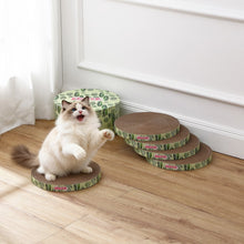 Kate Cardboard Cat Scratcher Pad In Box with Catnip, Leaf Mint/Green (5-Pack)