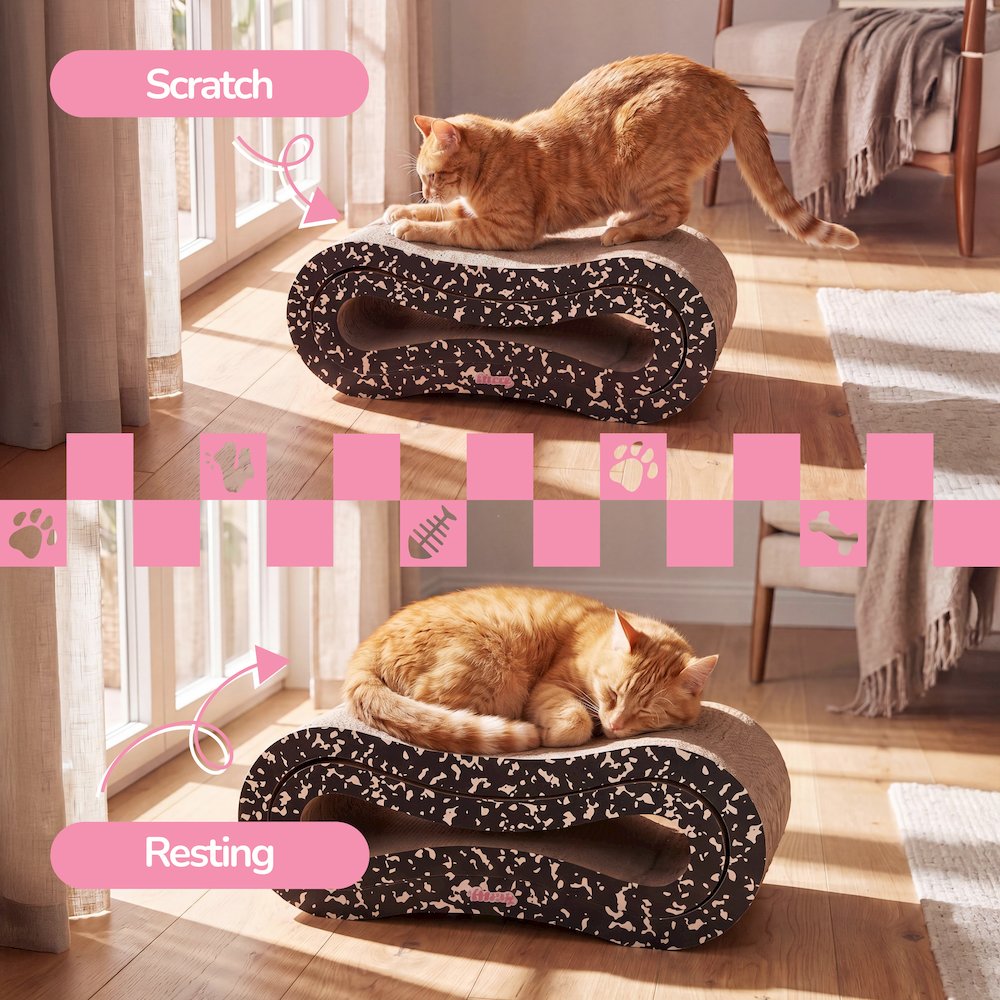 Suvi Infinity 2-in-1 Lounge Bed Scratcher with Catnip, Composition Notebook