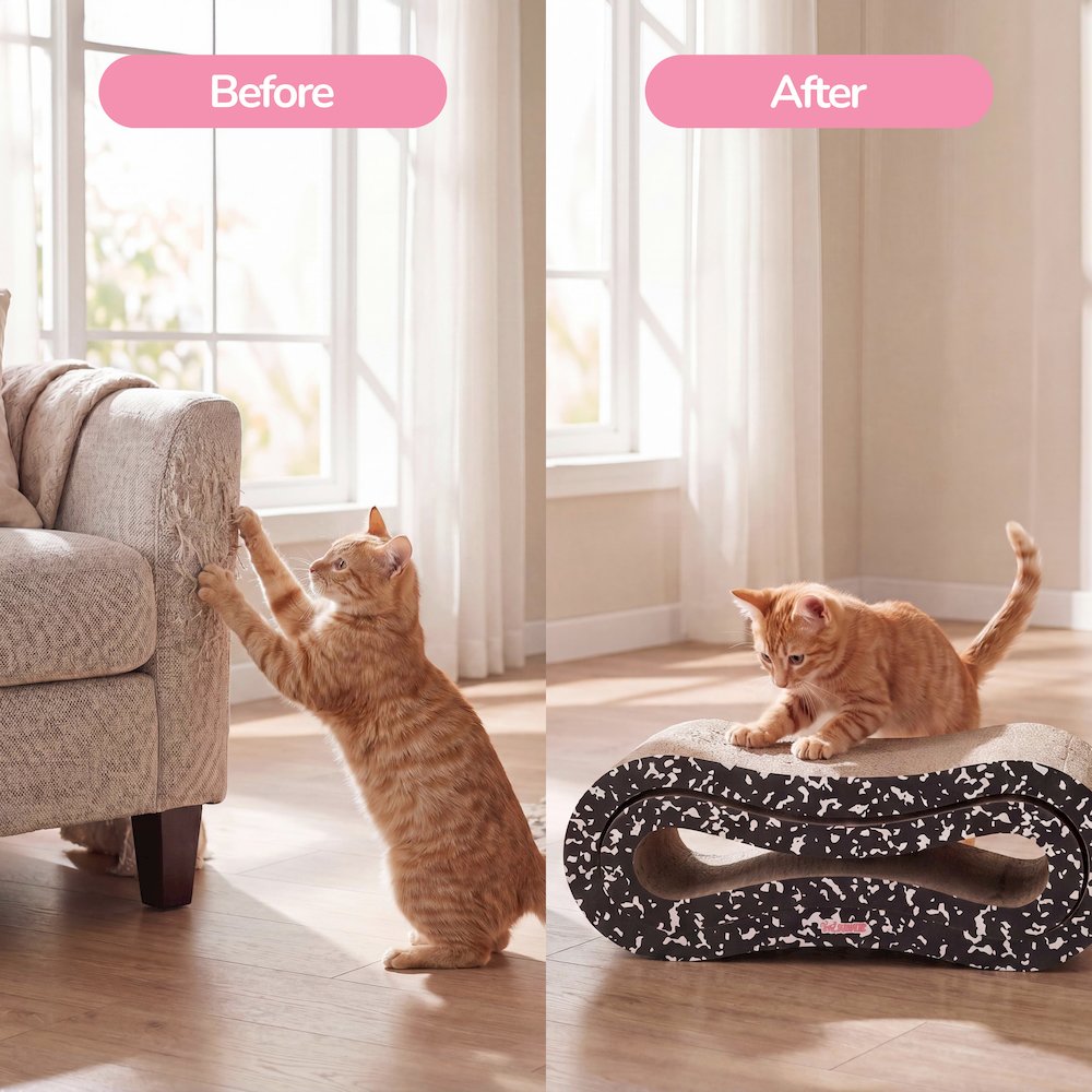 Suvi Infinity 2-in-1 Lounge Bed Scratcher with Catnip, Composition Notebook