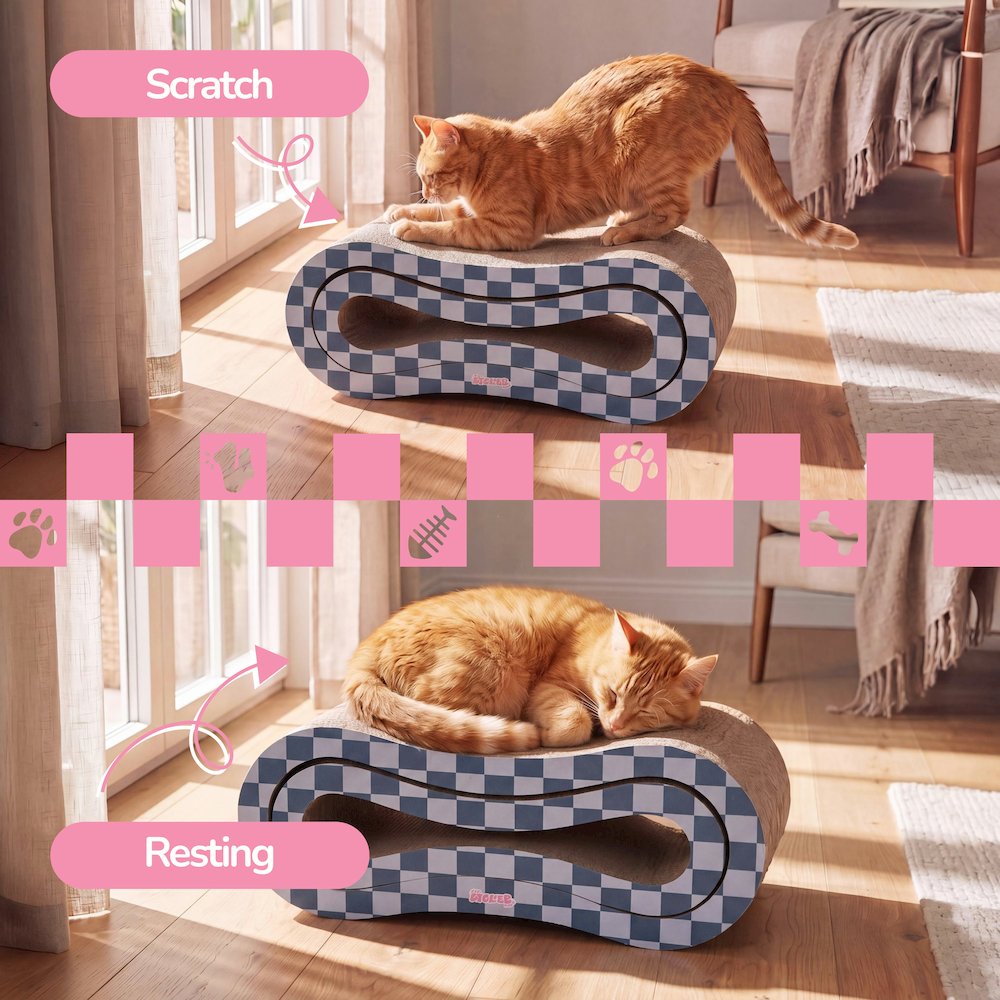 Suvi Cardboard Infinity 2-in-1 Lounge Scratcher with Catnip, Navy/Blue Checker