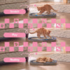 Balla 26” Cardboard Cat Scratcher Lounge Pad with Ball, Navy