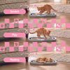 Balla 26” Cardboard Cat Scratcher Lounge Pad with Ball, Sky Blue