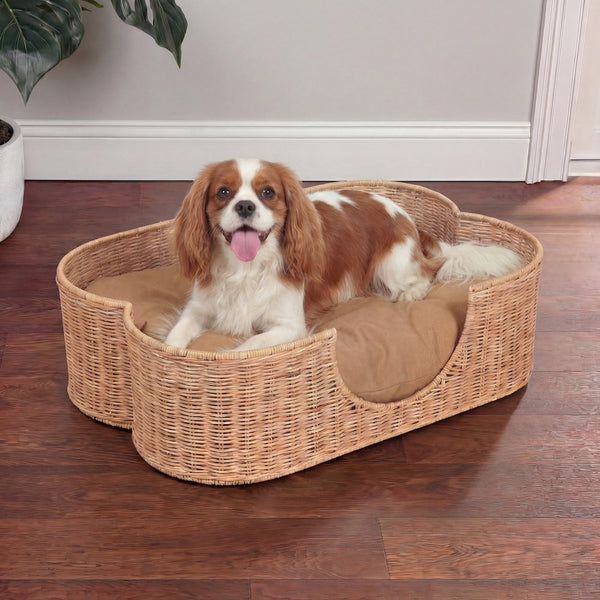 Scallop Tropical Water Hyacinth Pet Bed with Washable Cushion, Light Brown
