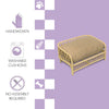 Elevated Bohemian Rattan Pet Daybed with Machine-Washable Cushion, Light Brown