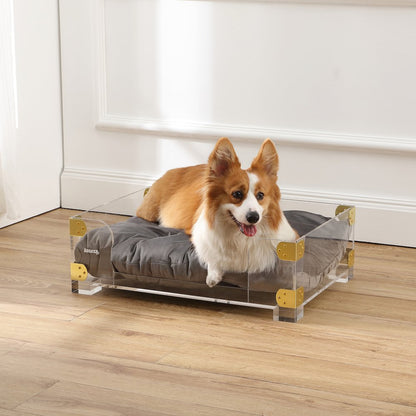 Haines Small/Medium Modern Lucite Velvet Pet Bed with Washable Cushion