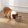 Small/Medium Modern Lucite Rectangular Elevated Pet Feeder