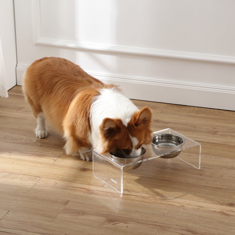 Small/Medium Modern Lucite Rectangular Elevated Pet Feeder