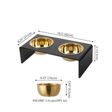 Small/Medium Modern Lucite Rectangular Elevated Pet Feeder