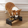 Small/Medium Modern Lucite Rectangular Elevated Pet Feeder