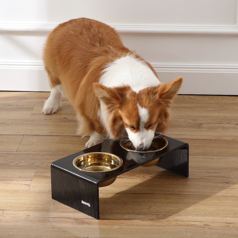 Small/Medium Modern Lucite Rectangular Elevated Pet Feeder