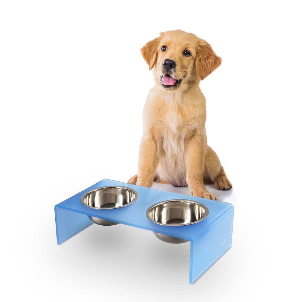 5" Acrylic Rectangular Elevated Pet Feeder, 20oz 2-Stainless Steel Bowls, Blue