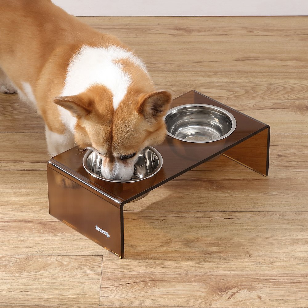 5" Acrylic Rectangular Elevated Pet Feeder, 20oz 2-Stainless Steel Bowls, Amber