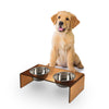5" Acrylic Rectangular Elevated Pet Feeder, 20oz 2-Stainless Steel Bowls, Amber