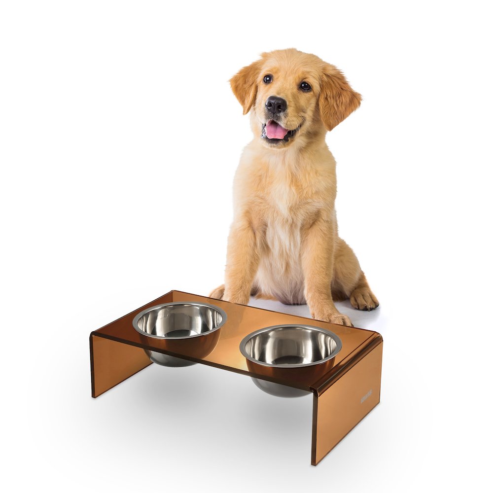 5" Acrylic Rectangular Elevated Pet Feeder, 20oz 2-Stainless Steel Bowls, Amber