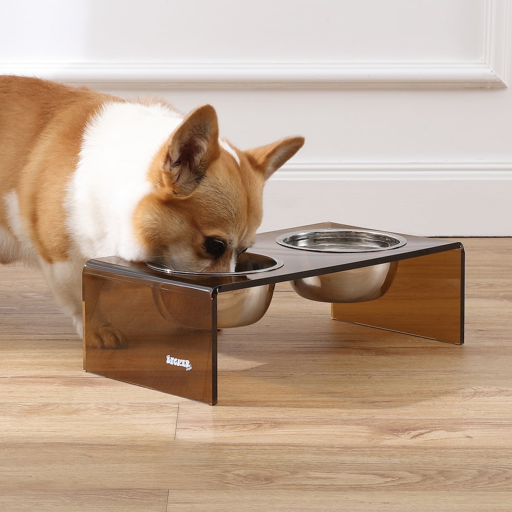 5" Acrylic Rectangular Elevated Pet Feeder, 20oz 2-Stainless Steel Bowls, Amber