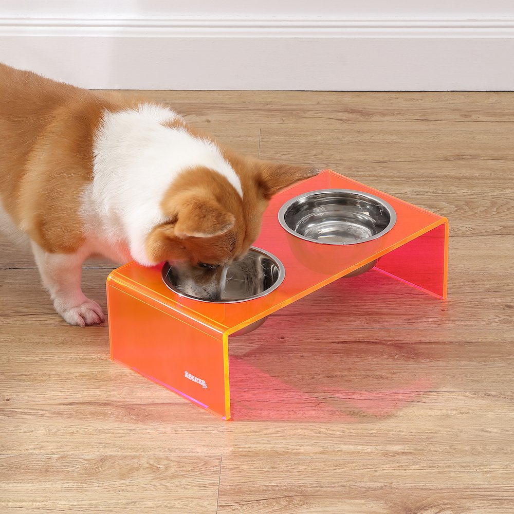 5" Acrylic Rectangular Elevated Pet Feeder, 20oz 2-Stainless Steel Bowls, Pink
