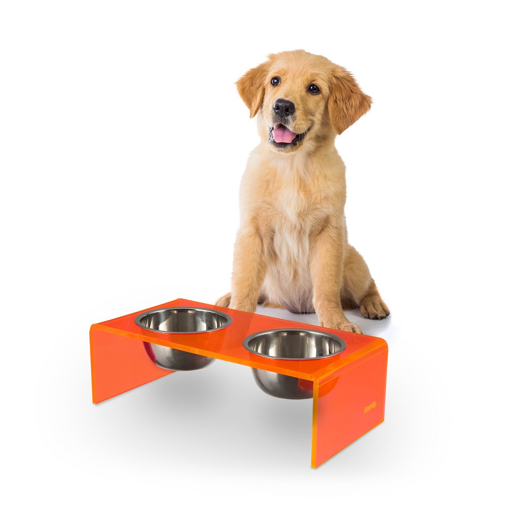 5" Acrylic Rectangular Elevated Pet Feeder, 20oz 2-Stainless Steel Bowls, Pink