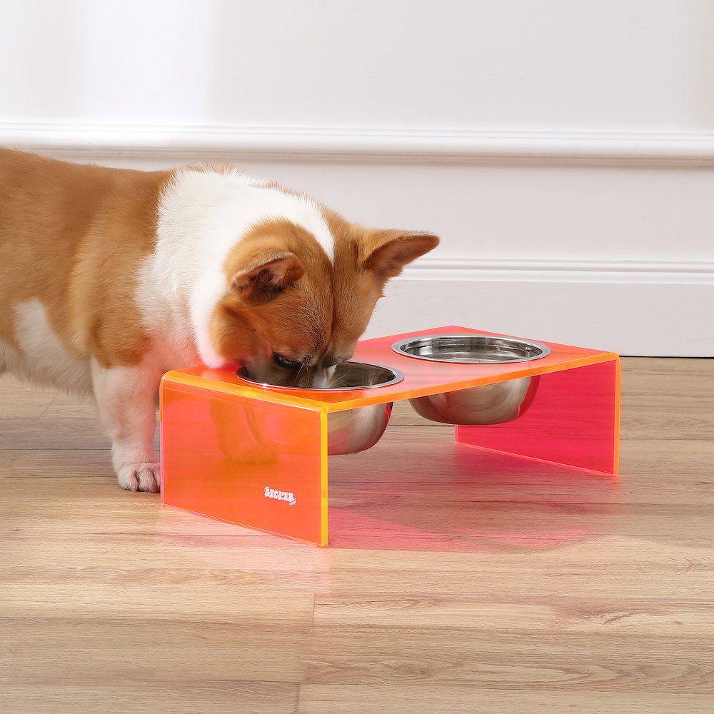 5" Acrylic Rectangular Elevated Pet Feeder, 20oz 2-Stainless Steel Bowls, Pink