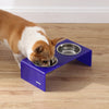 5" Acrylic Rectangular Elevated Pet Feeder, 20oz 2-Stainless Steel Bowls, Purple