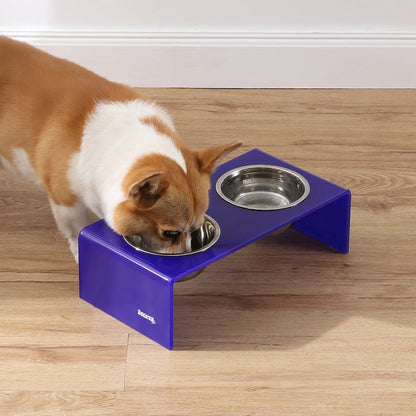 5" Acrylic Rectangular Elevated Pet Feeder, 20oz 2-Stainless Steel Bowls, Purple