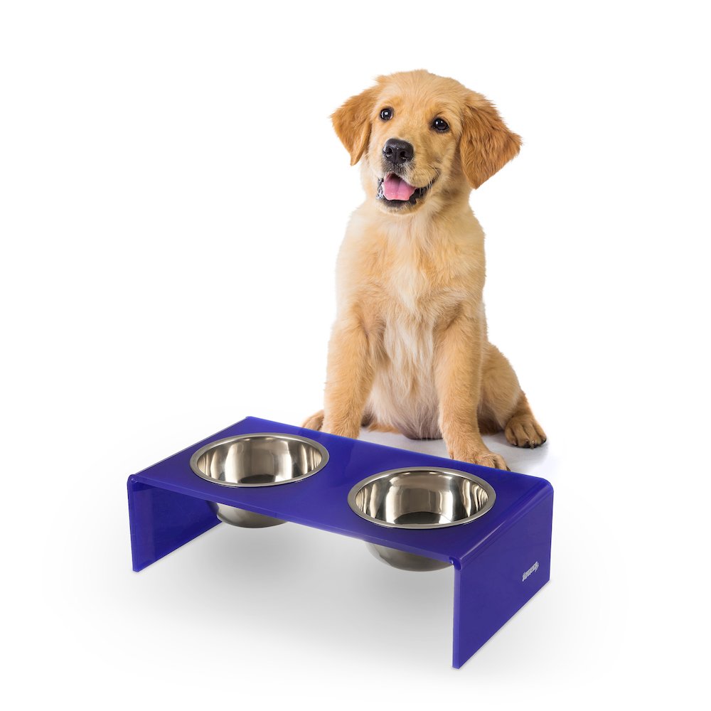 5" Acrylic Rectangular Elevated Pet Feeder, 20oz 2-Stainless Steel Bowls, Purple