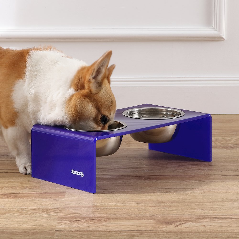 5" Acrylic Rectangular Elevated Pet Feeder, 20oz 2-Stainless Steel Bowls, Purple