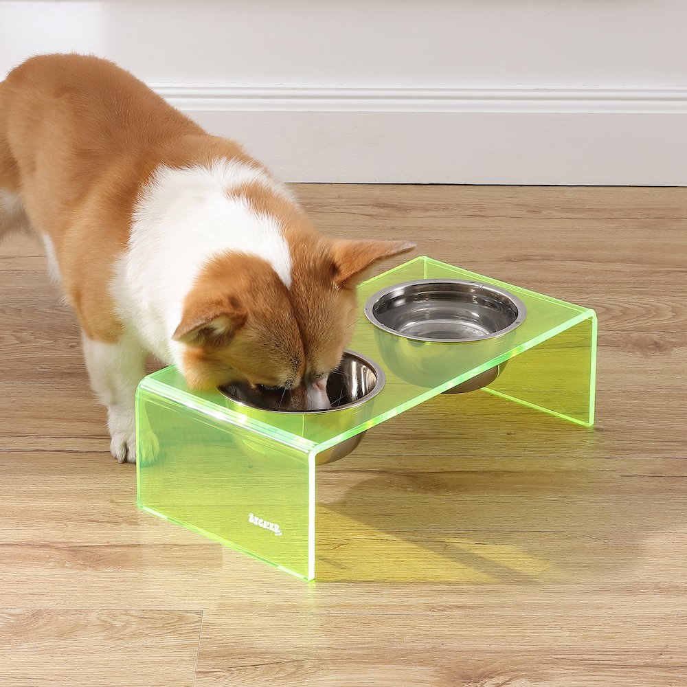 5" Acrylic Rectangular Elevated Pet Feeder, 20oz 2-Stainless Steel Bowls, Green