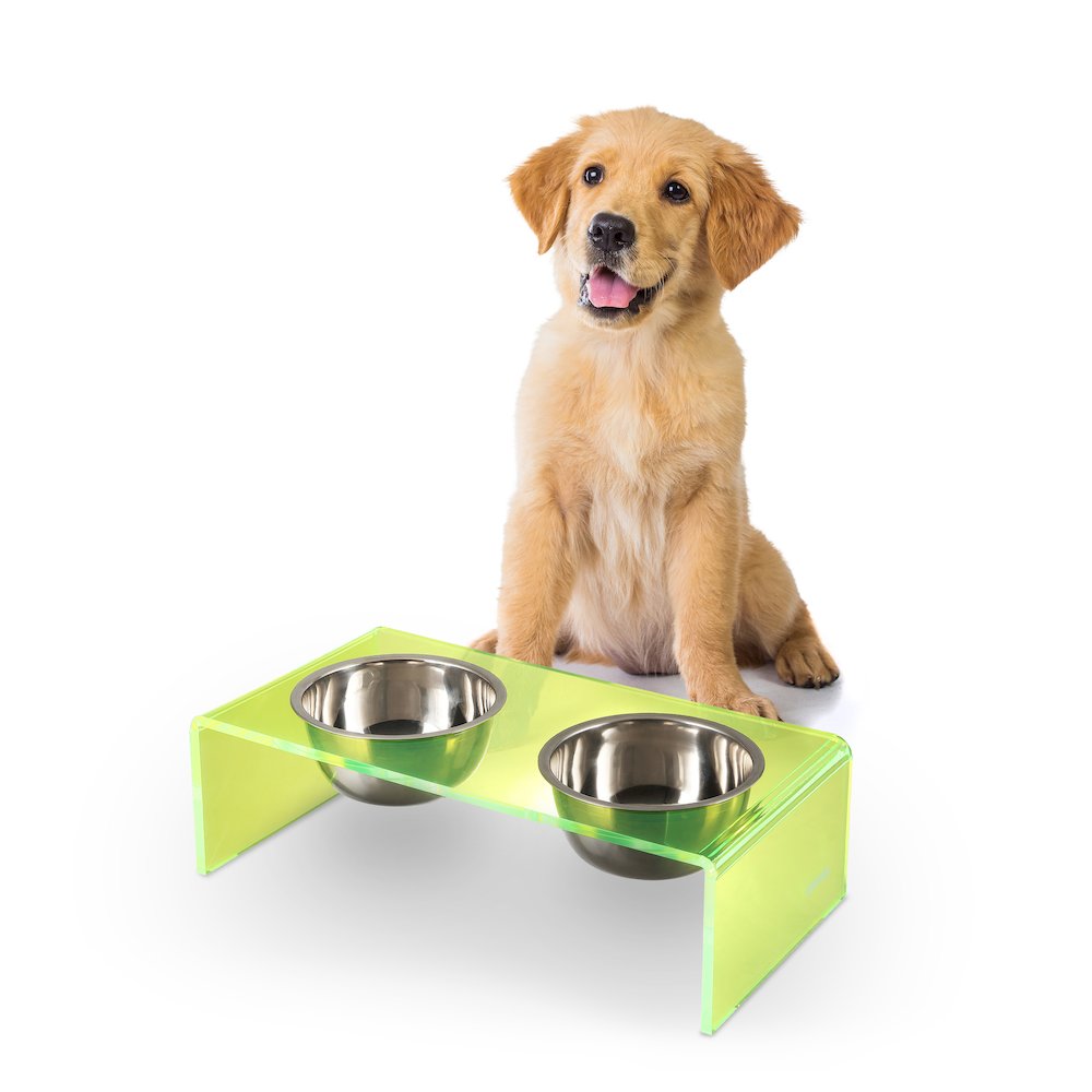 5" Acrylic Rectangular Elevated Pet Feeder, 20oz 2-Stainless Steel Bowls, Green