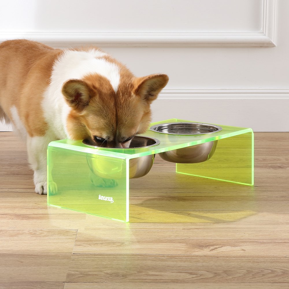 5" Acrylic Rectangular Elevated Pet Feeder, 20oz 2-Stainless Steel Bowls, Green