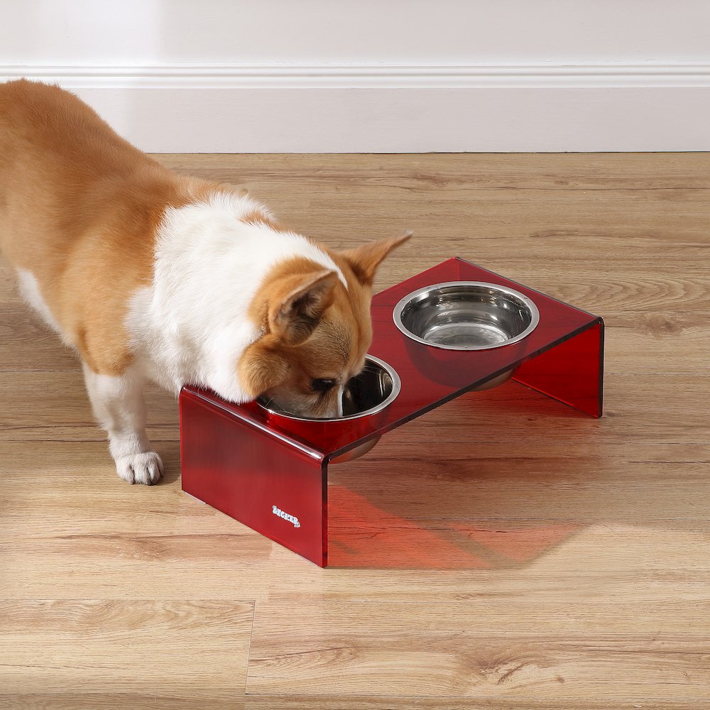 5" Acrylic Rectangular Elevated Pet Feeder, 20oz 2-Stainless Steel Bowls, Red