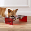 5" Acrylic Rectangular Elevated Pet Feeder, 20oz 2-Stainless Steel Bowls, Red