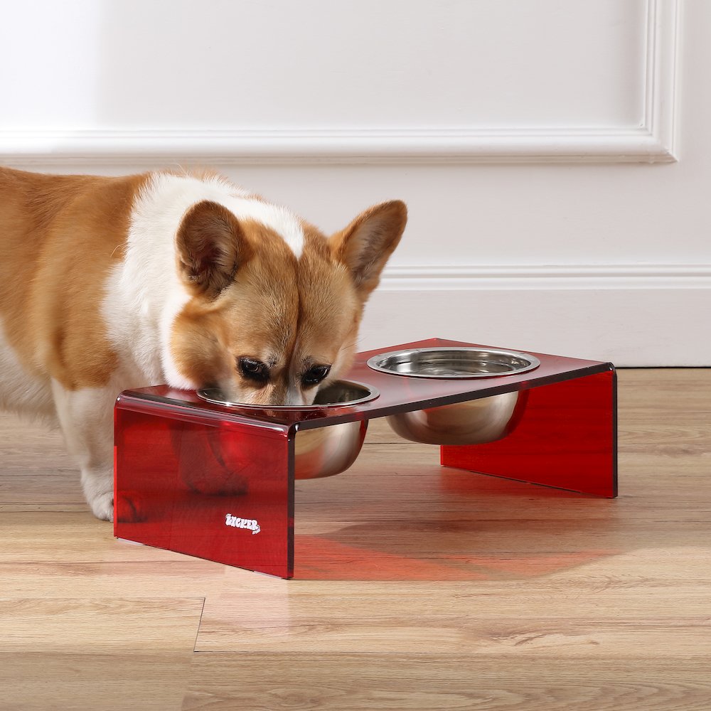 5" Acrylic Rectangular Elevated Pet Feeder, 20oz 2-Stainless Steel Bowls, Red