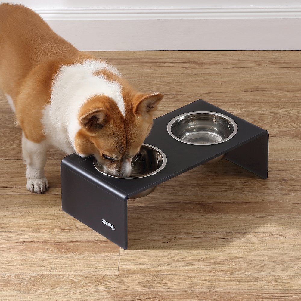 5" Acrylic Rectangular Elevated Pet Feeder, 20oz 2-Stainless Steel Bowls, Gray