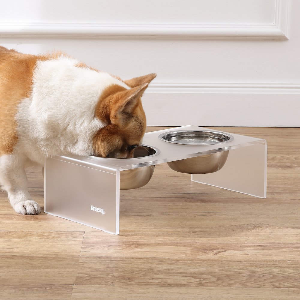5" Acrylic Rectangular Elevated Pet Feeder, 20oz 2-Stainless Steel Bowls, White
